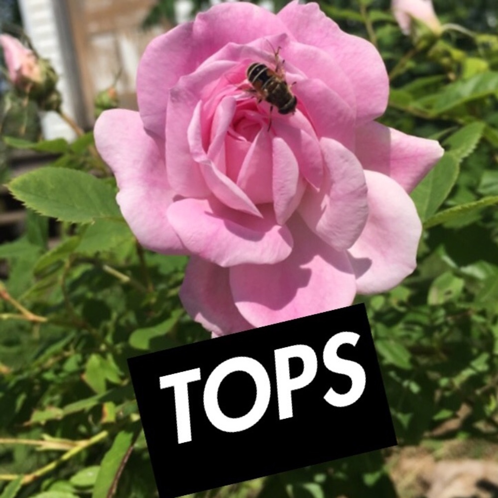 Create a bundle & I’ll give a DISCOUNT